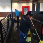 Torchy’s Tacos Restaurant Touch Up Post Construction Cleaning in Irving TX 014 150x150 Torchy’s Tacos Restaurant Touch Up Post Construction Cleaning in Irving, TX